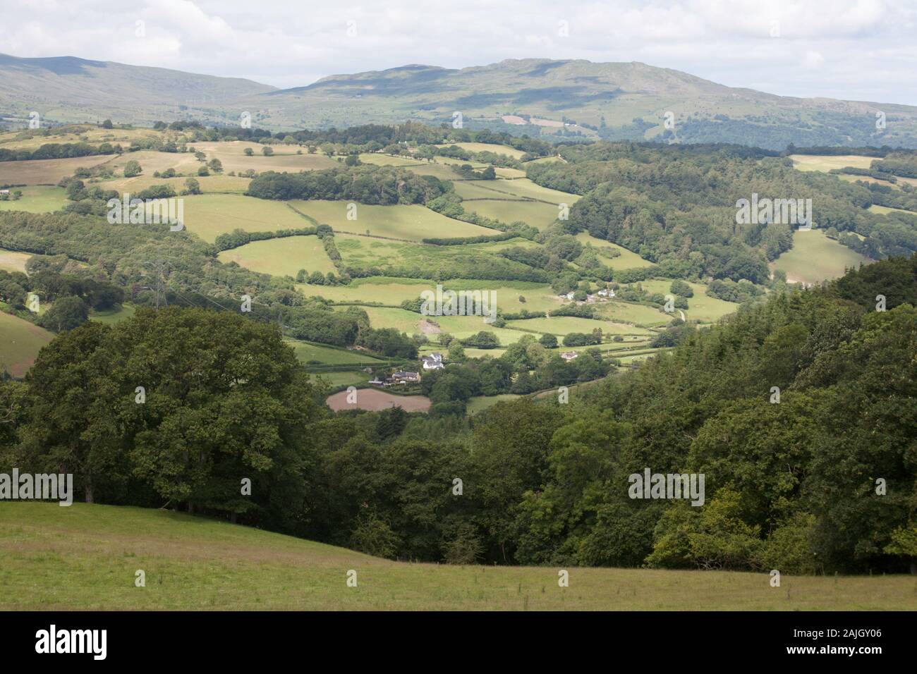 Tal-y-Fan rising above the village of Roewen  across the Vale of Conwy  Snowdonia  a summer morning near the village of Eglwysbach Conwy North Wales Stock Photo