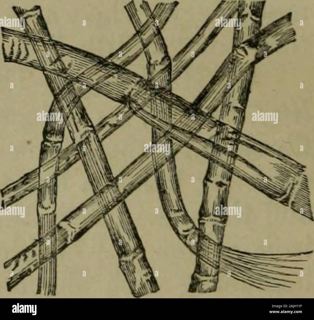 Structure of a fibre under microscope hires stock photography and