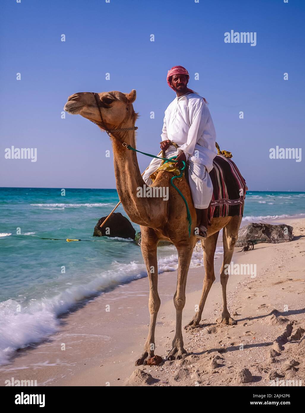 Ras Al Khaimah. A local man with his camel enjoys a ride along the beach at Ras Al Khaimah. Ras al Khaimah was important as the town overlooks the Arabian Sea also known as the Persian Gulf and the strategic shipping lanes through the Straits of Hormuz Stock Photo