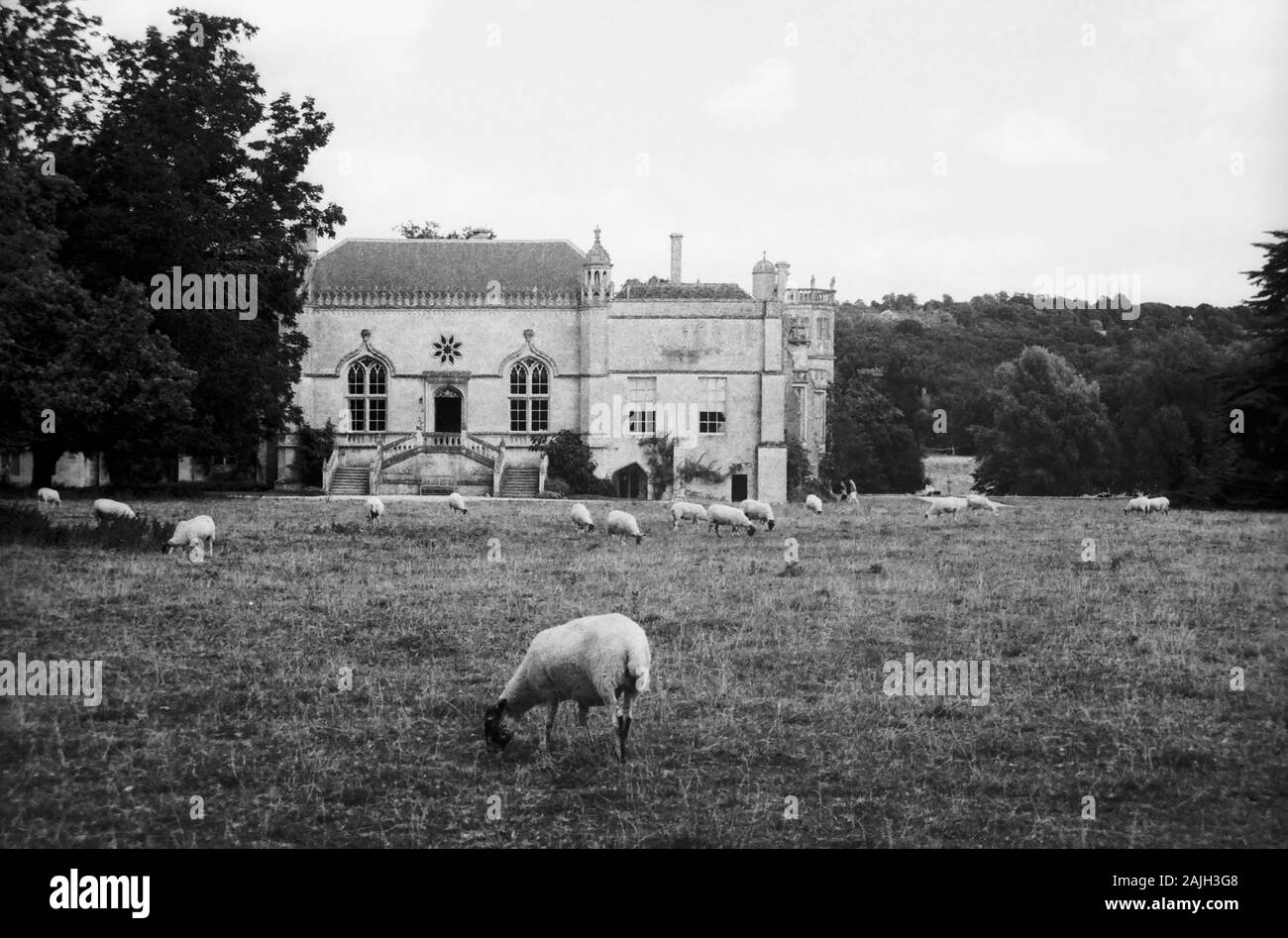 Lacock Abbey, Wiltshire, England, UK: main entrance with sheep grazing in foreground,   Old black and white film photograph, circa 1990 Stock Photo