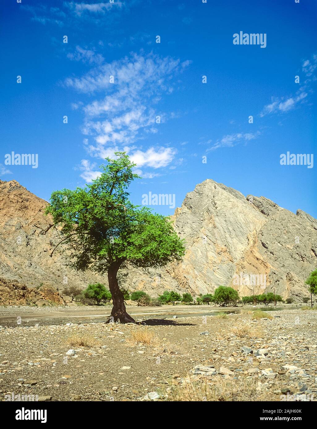 Rugged scenery of the Al Hajr and Musandan mountains of the Arabian Peninsula shared by the Emirates of Dubai, Ras Al Khaimah and Fujairah, seen here in Springtime Stock Photo