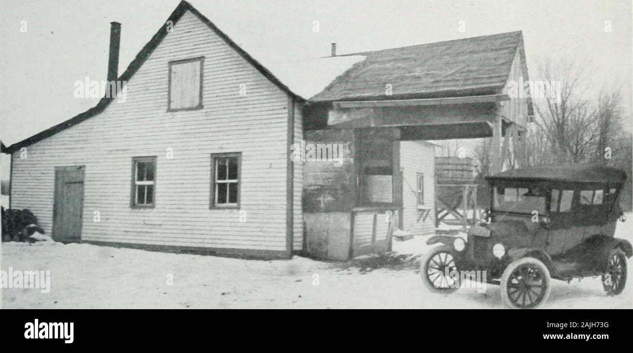 Official history of the Cornwall Cheese and Butter Board . LILY WHITE