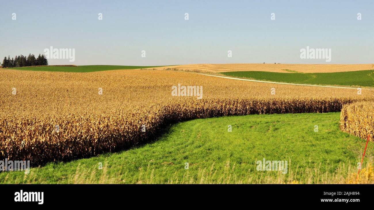 Rochester hills hires stock photography and images Alamy