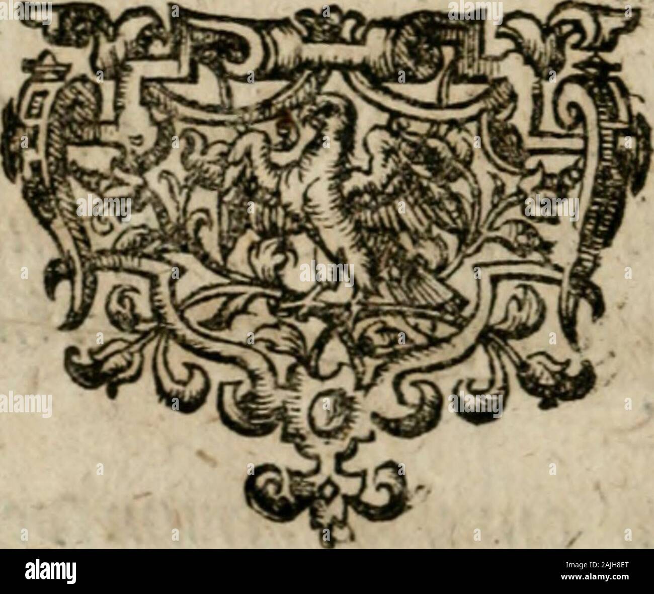 D G High Resolution Stock Photography And Images Page 70 Alamy