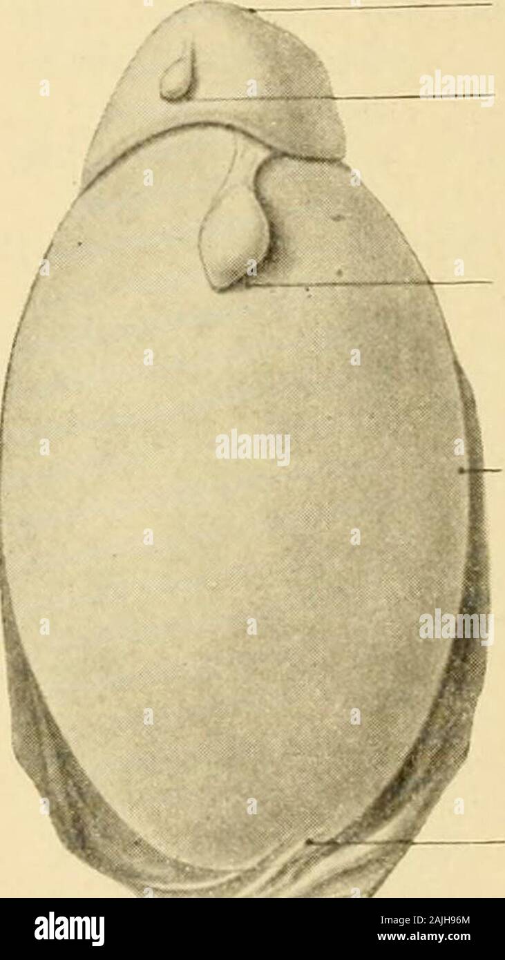 Sex otasi kichkina qizini sikdi