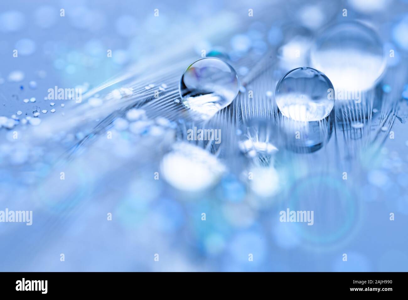 Beautiful transparent water drops or rain water on soft background. Macrophotography. Desktop background. Selective focus. Horizontal. Stock Photo