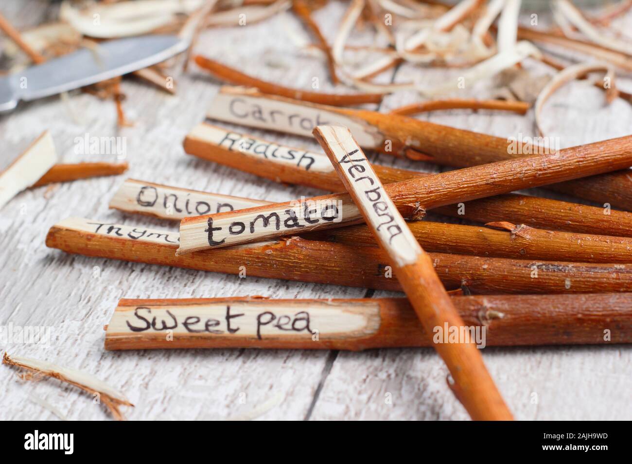 Plastic free plant labels hires stock photography and images Alamy