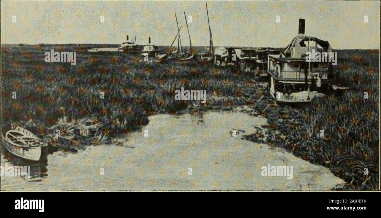From the Congo to the Niger and the Nile : an account of The German Central African expedition of 1910-1911 . 220. Sudd of the Bahr-el-Ghazal in open water.. 221. Steamer and boats in the sudd of the Bahr-el-Ghazal. Stock Photo