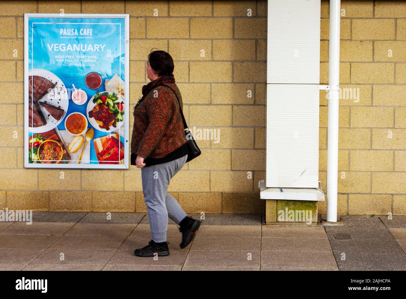 Vegetarianism, vegan, vegetarian, veganism, vegans diet foods; Seafront Retail Park in Southport, UK. January 'Veganuary' sales under way as shoppers search for bargains. Vegan poster advertises Vegan meals in the Dunelm Pausa cafe. Stock Photo