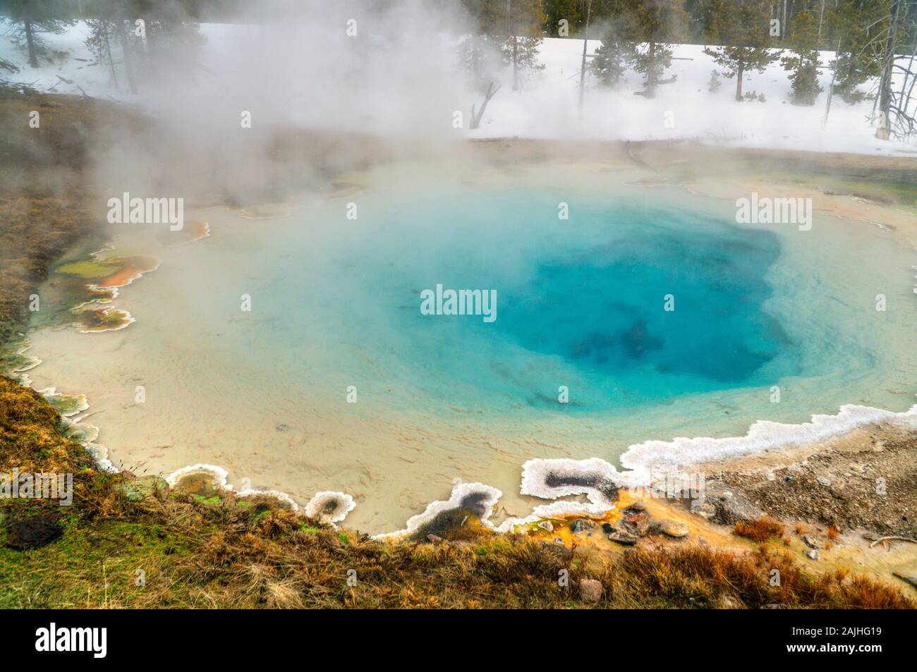 View of the Norris Geyser Basin with a Geothermal blue pool, Yellowstone National Park, USA. Stock Photo