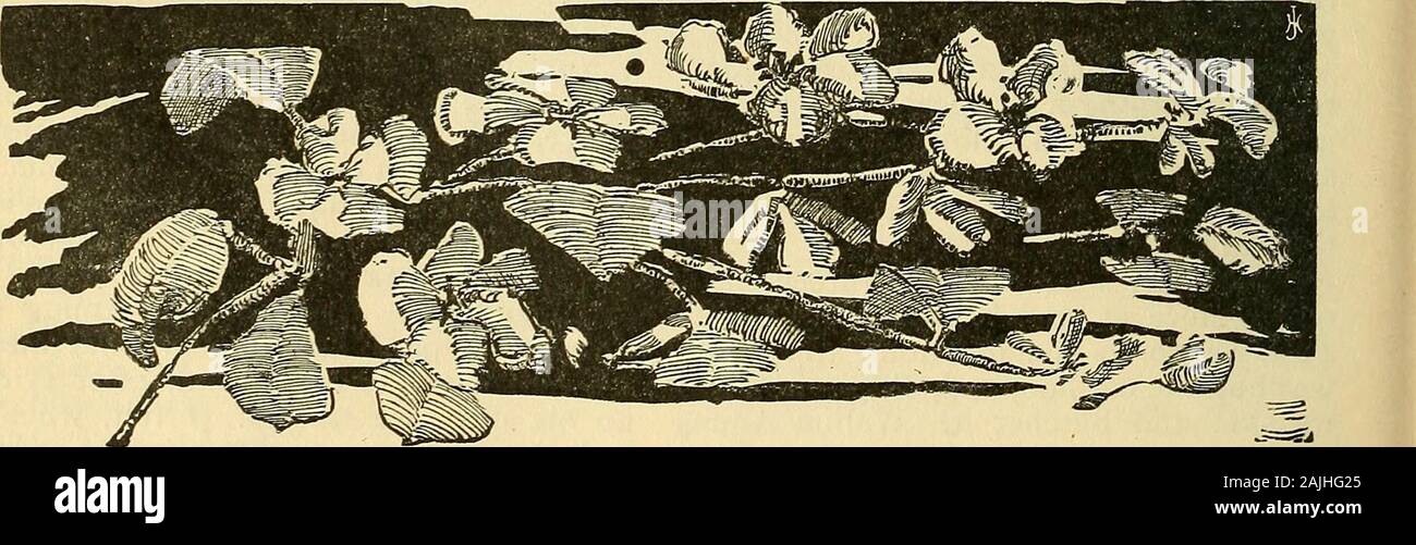 Outing Y Audience Joyfully Echo Or Is Itonly A Snore I Fancy I