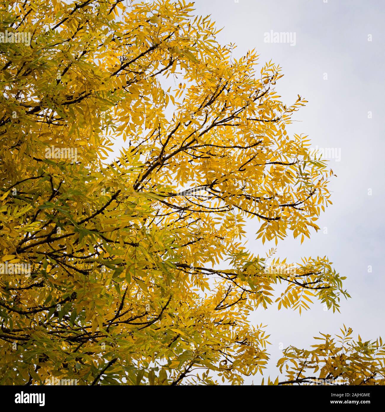 My Image 8