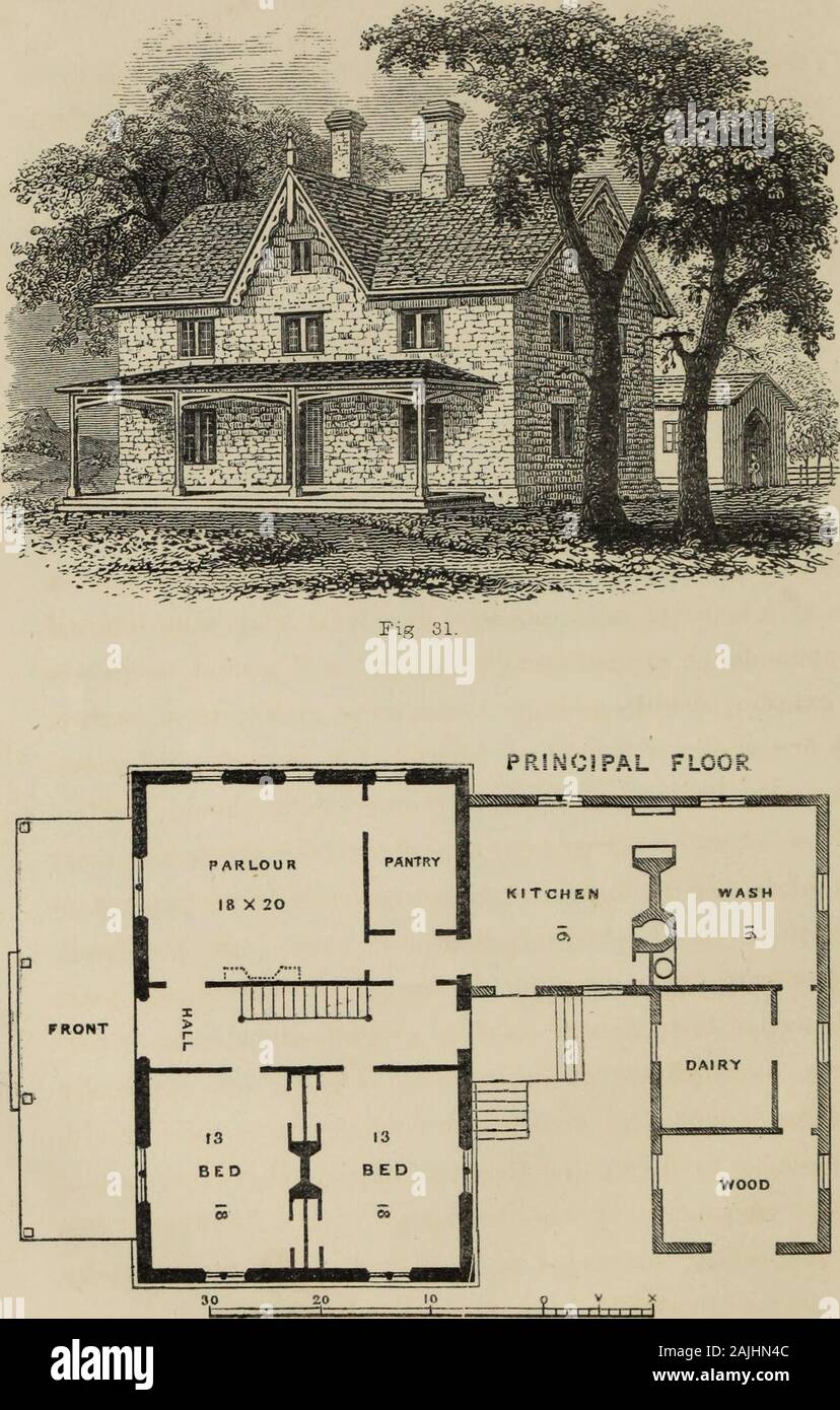 Cottage residences : or, A series of designs for rural cottages and cottage villas, and their gardens and grounds Adapted to North America . glomerata.Zanthoriza apiifolia. Evergreen Shrubs. Tree Box,American Holly, Buxus arborescem.Ilex opaca. 80 COTTAGE RESIDENCES. European do., rather tender at the north, -Swedish Juniper, -Common Laurel, or Kalmia,American Rhododendron, - Ilex aquifolium.Juniperus suecia.Kalmia latifolia.Rododendron maximum. Selection of very choice fruits, for the small orchard of 42 trees. CHERRIES. 1 Knights early Black.1 Mayduke.1 Tartarian. 1 Downton. PEARS. 2 Bartlet Stock Photo