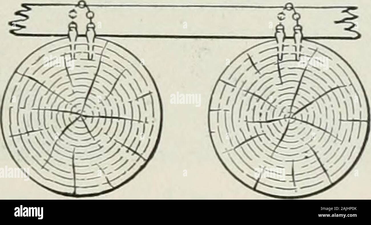 Remove Logging Ring Logging; the principles and general methods of operation in the United ...