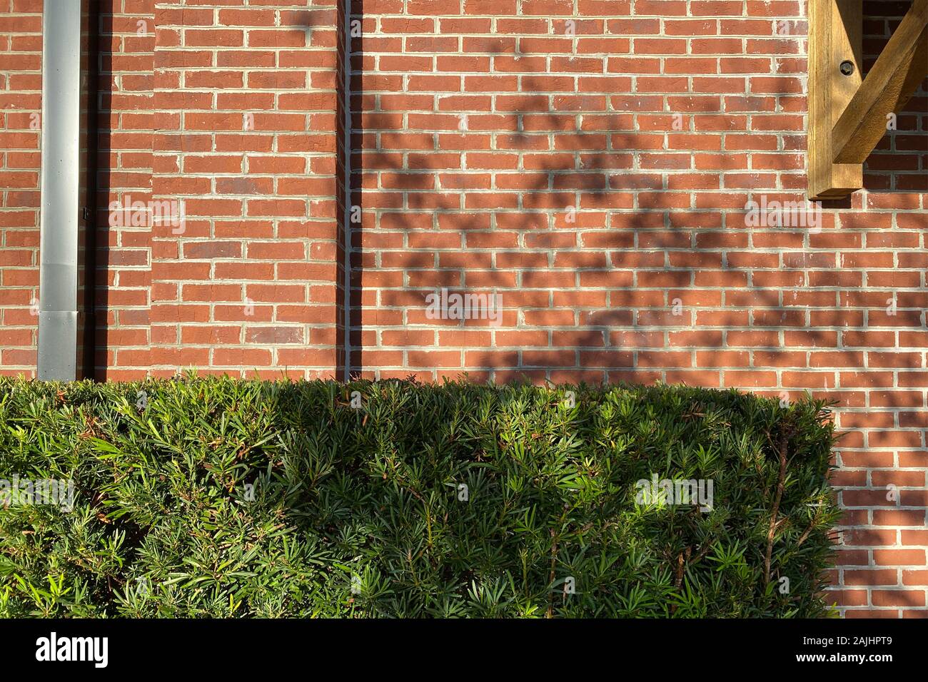 red brick wall building shadows Stock Photo