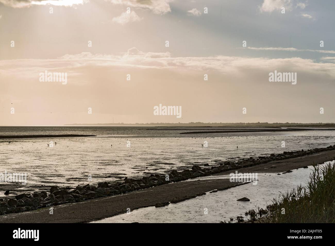 Wattenmeer, Ebbe, Regen, Morsum, Keitum, Sylt Stock Photo