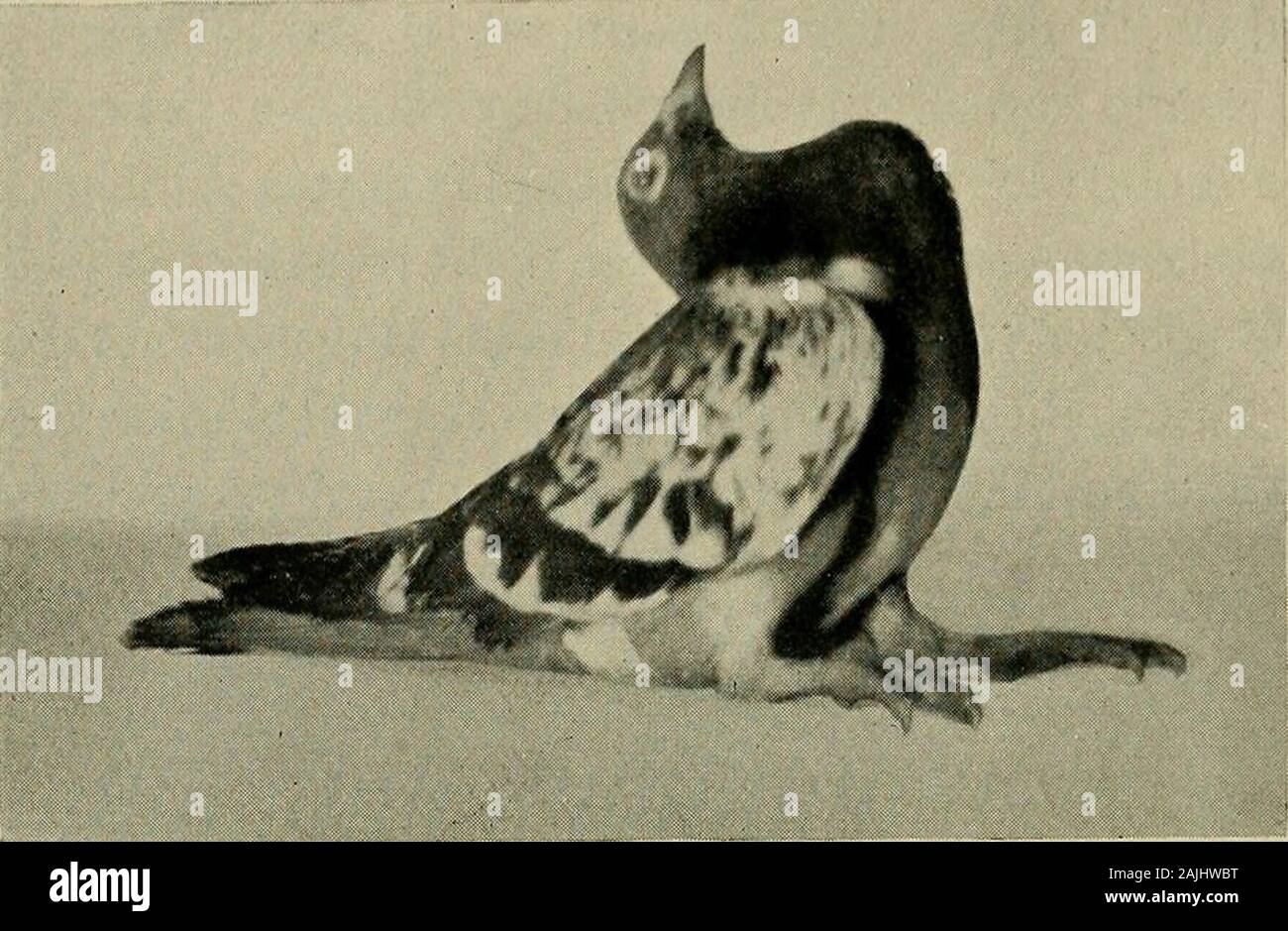 Rachitis unter hi-res stock photography and images - Alamy