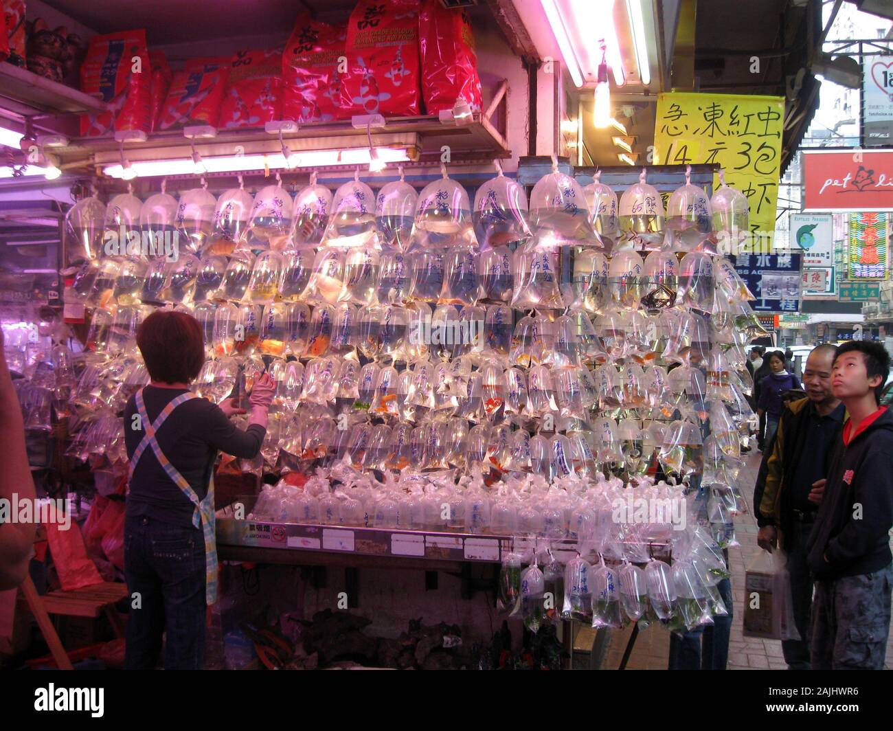 Aquarium fishes for sale at Goldfish Market, Hong Kong Stock Photo Alamy
