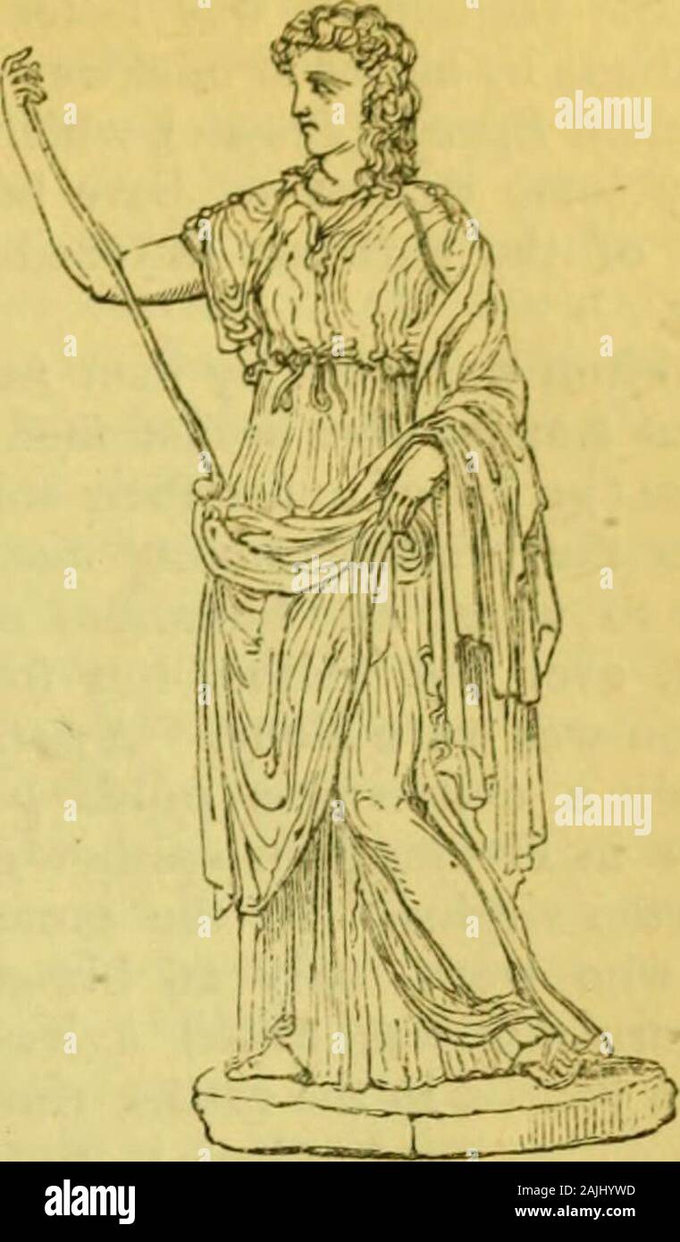 School dictionary of Greek and Roman antiquities . bow, and sometimes not so far. Thesleeves were sometimes slit up, and fast-ened together with an elegant row ofbrooches. The Ionic chiton, according toHerodotus, was originally a Carian dress,and passed over to Athens from Ionia,as has been already remarked. The wo-men at Athens originally wore the Doricchiton, but were compelled to change itfor the Ionic, after they had killed with thebuckles or clasps of their dresses the singleAthenian who had returned alive from theexpedition against Aegina, because therewere no buckles or clasps required Stock Photo