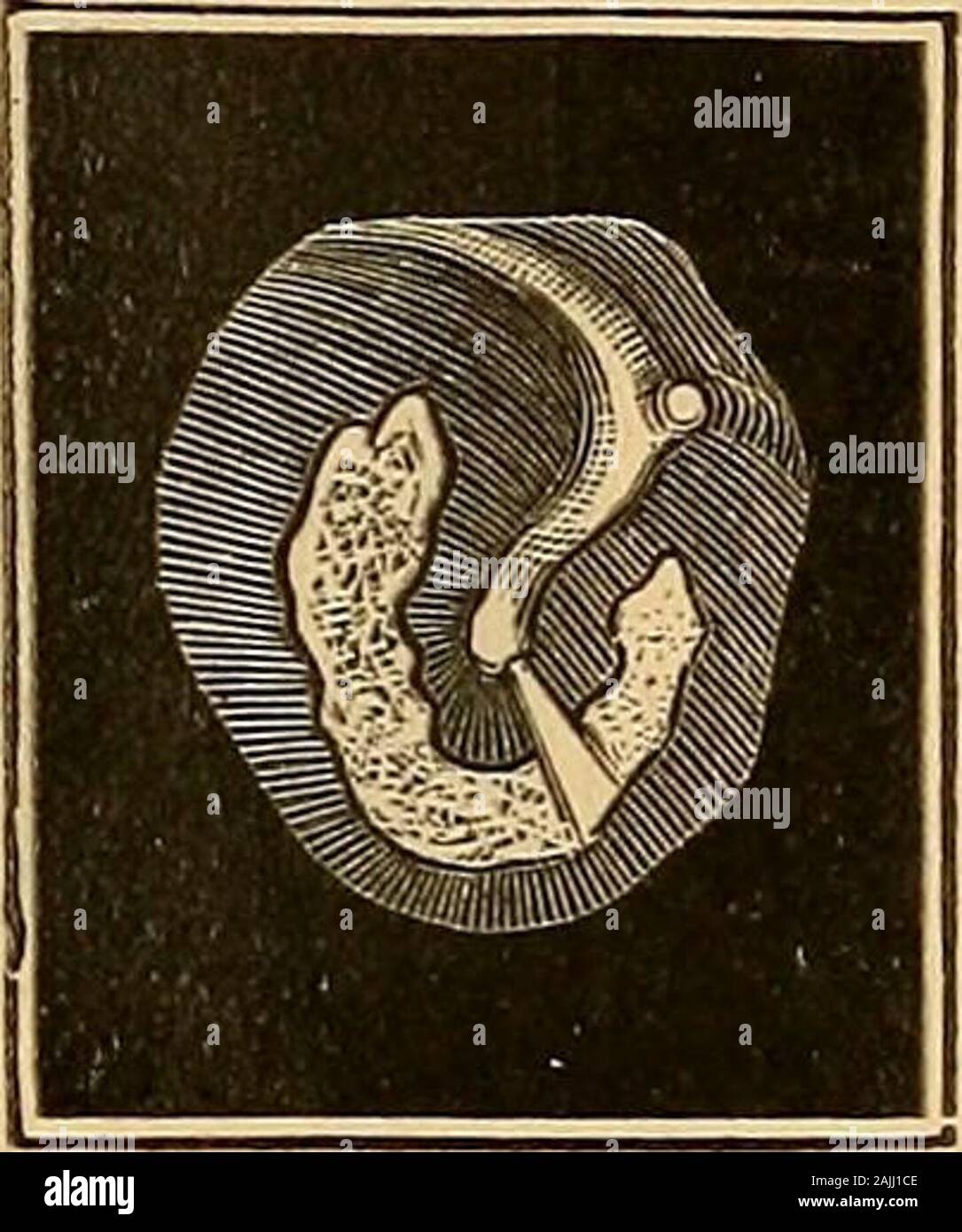 A text-book of the diseases of the ear for students and practitioners ...
