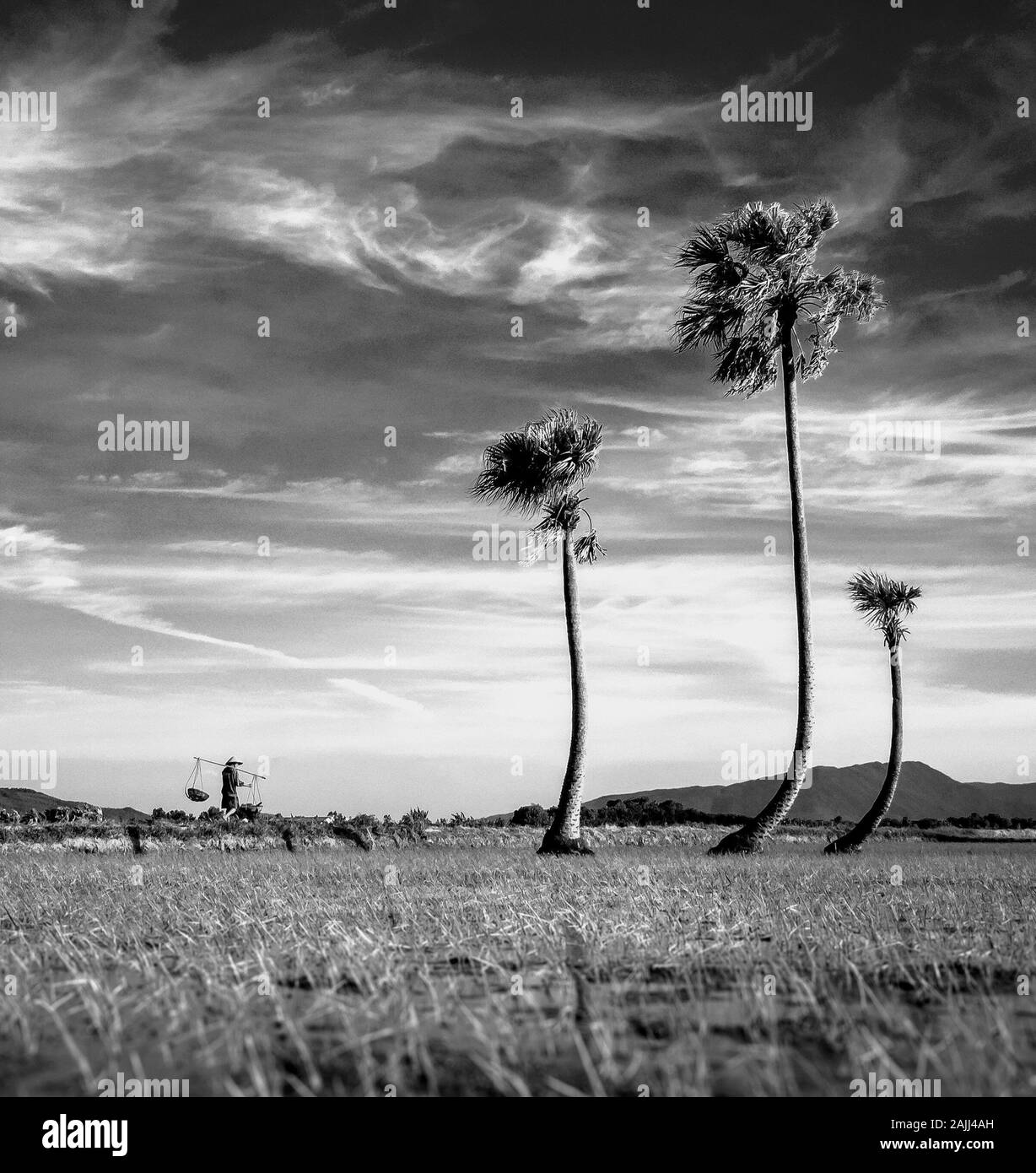 Tour in vietnam Black and White Stock Photos & Images - Alamy
