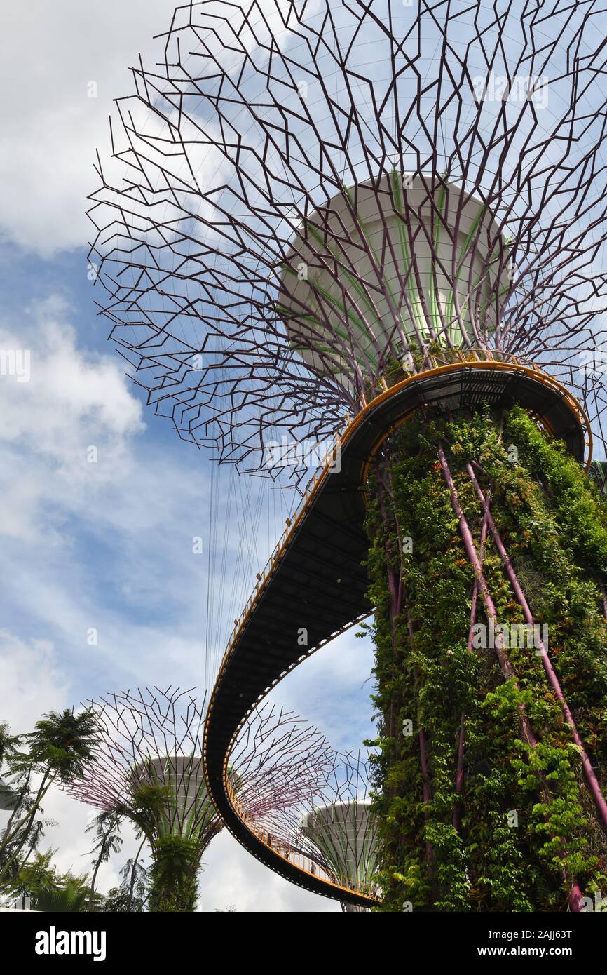 SUPERTREE GROVE and OCBC SKYWAY in Gardens by the Bay, Singapore Stock Photo