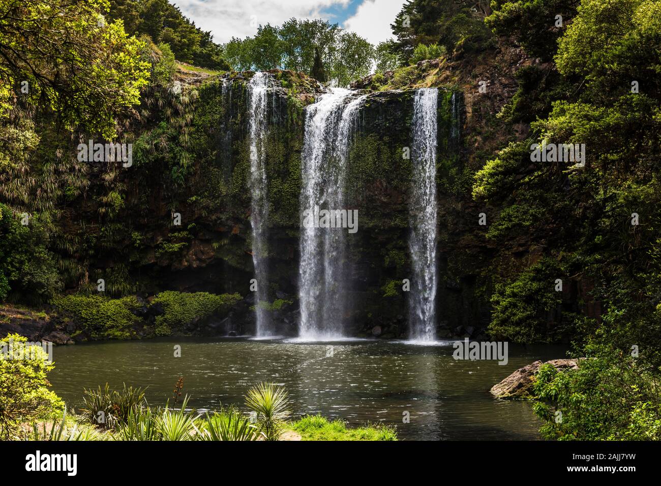 Whangarei Falls, Northland, New Zealand Stock Photo