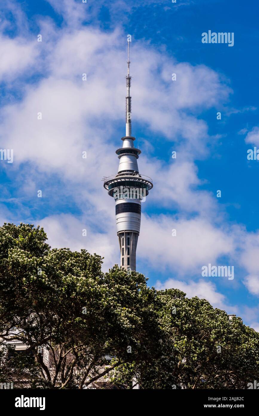 The Sky Tower behind trees in Auckland, New Zealand Stock Photo