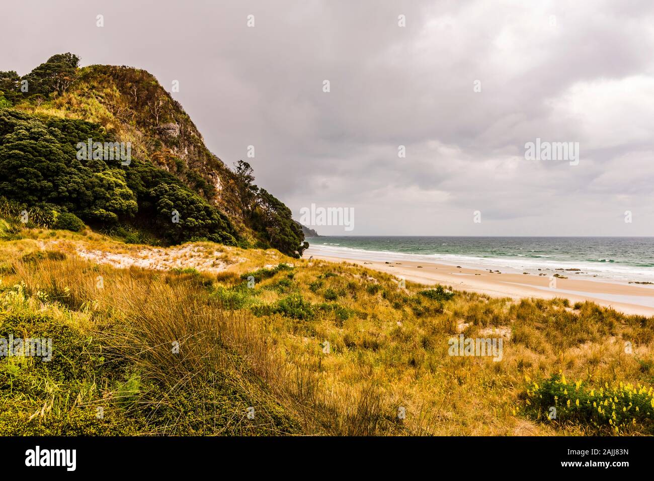 Storm and surf at Mangawhai Heads, Northland, New Zealand Stock Photo