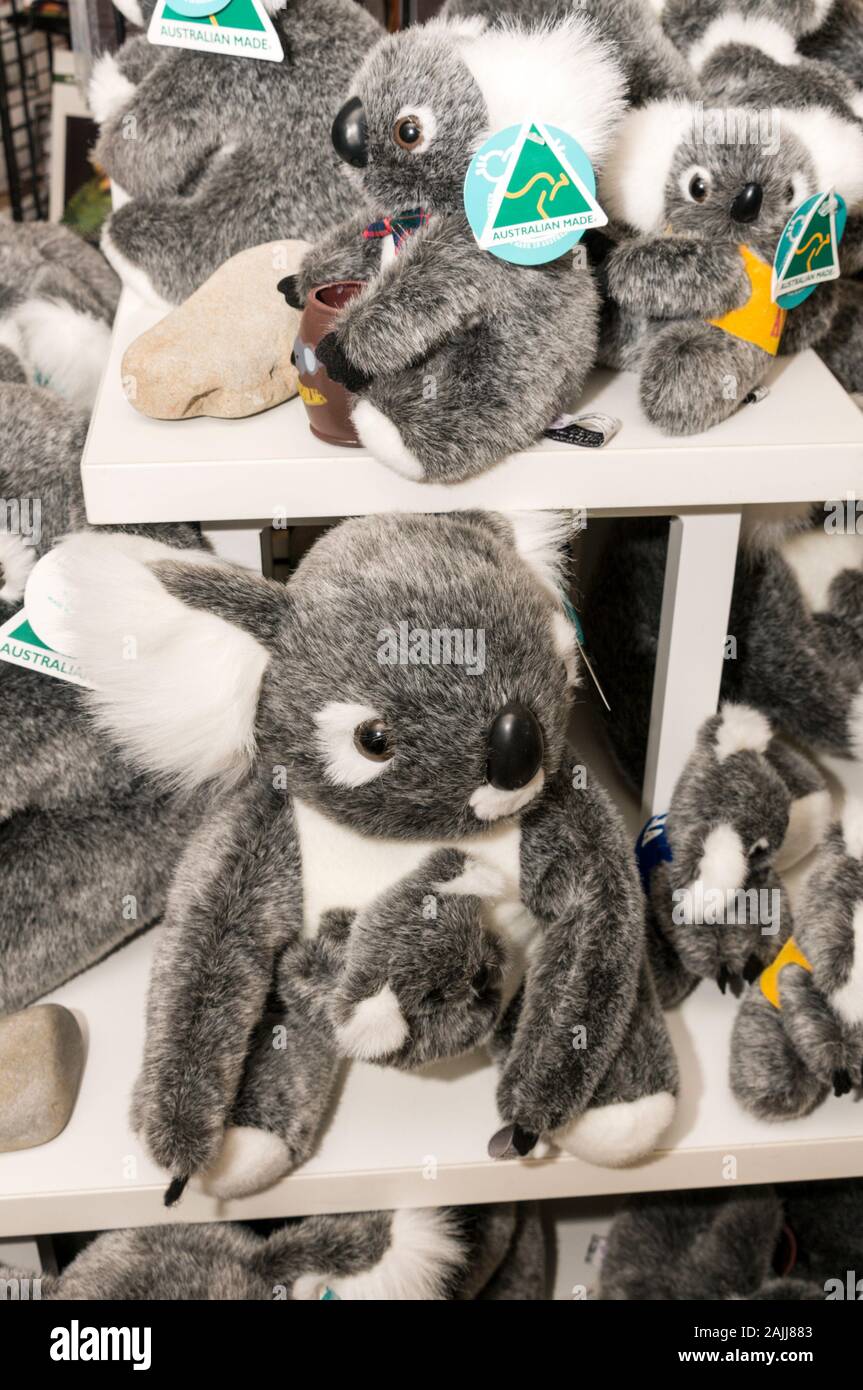 Koala gift hi-res stock photography and images - Alamy
