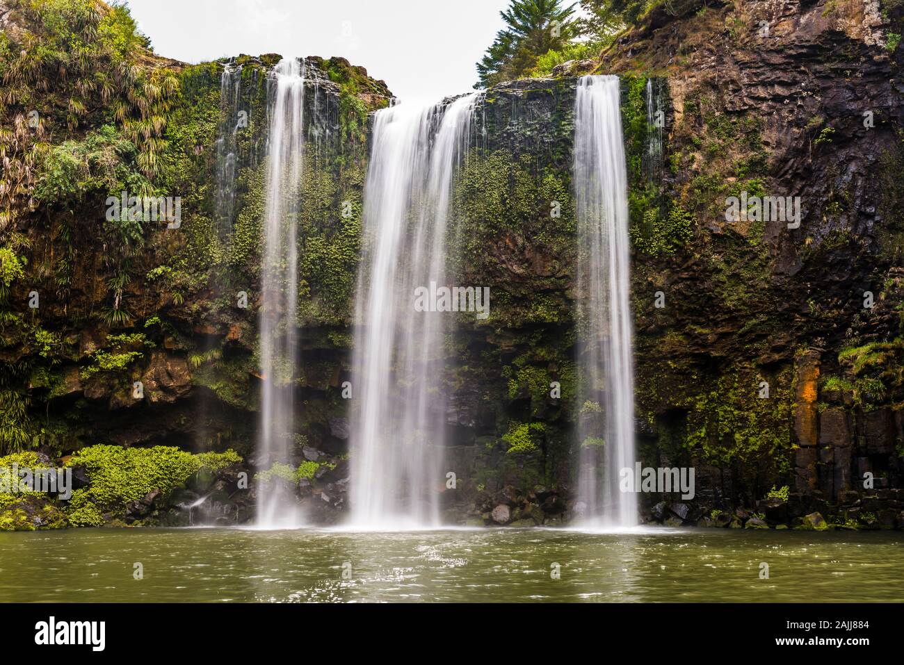 Long exposure at Whangarei Falls, Northland, New Zealand Stock Photo