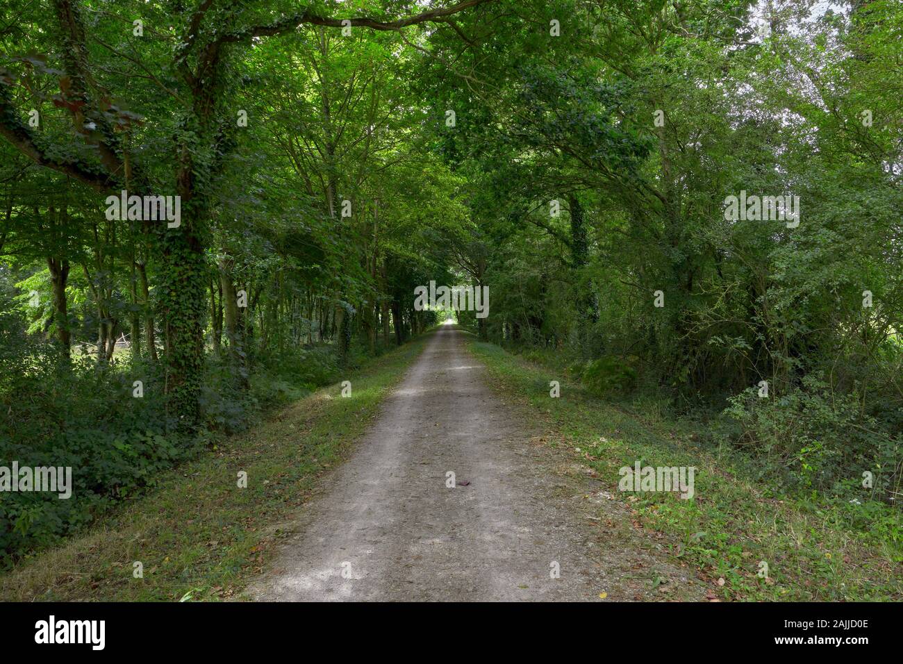 Image of the Voie Verte greenway track. Former railway track in Brittany, France Stock Photo