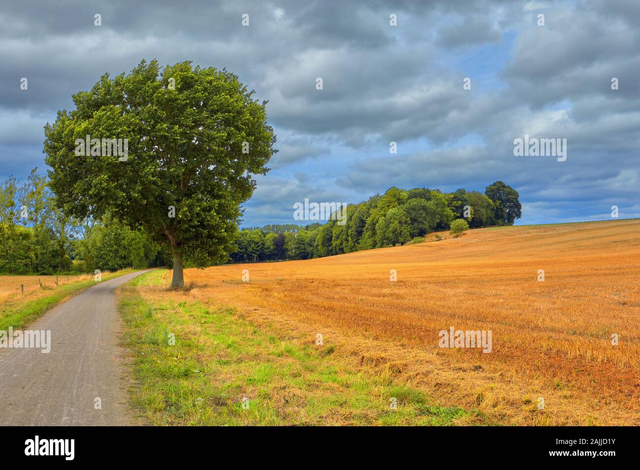 Image of the Voie Verte greenway track together with agricultural fields and trees. Brittany, France Stock Photo