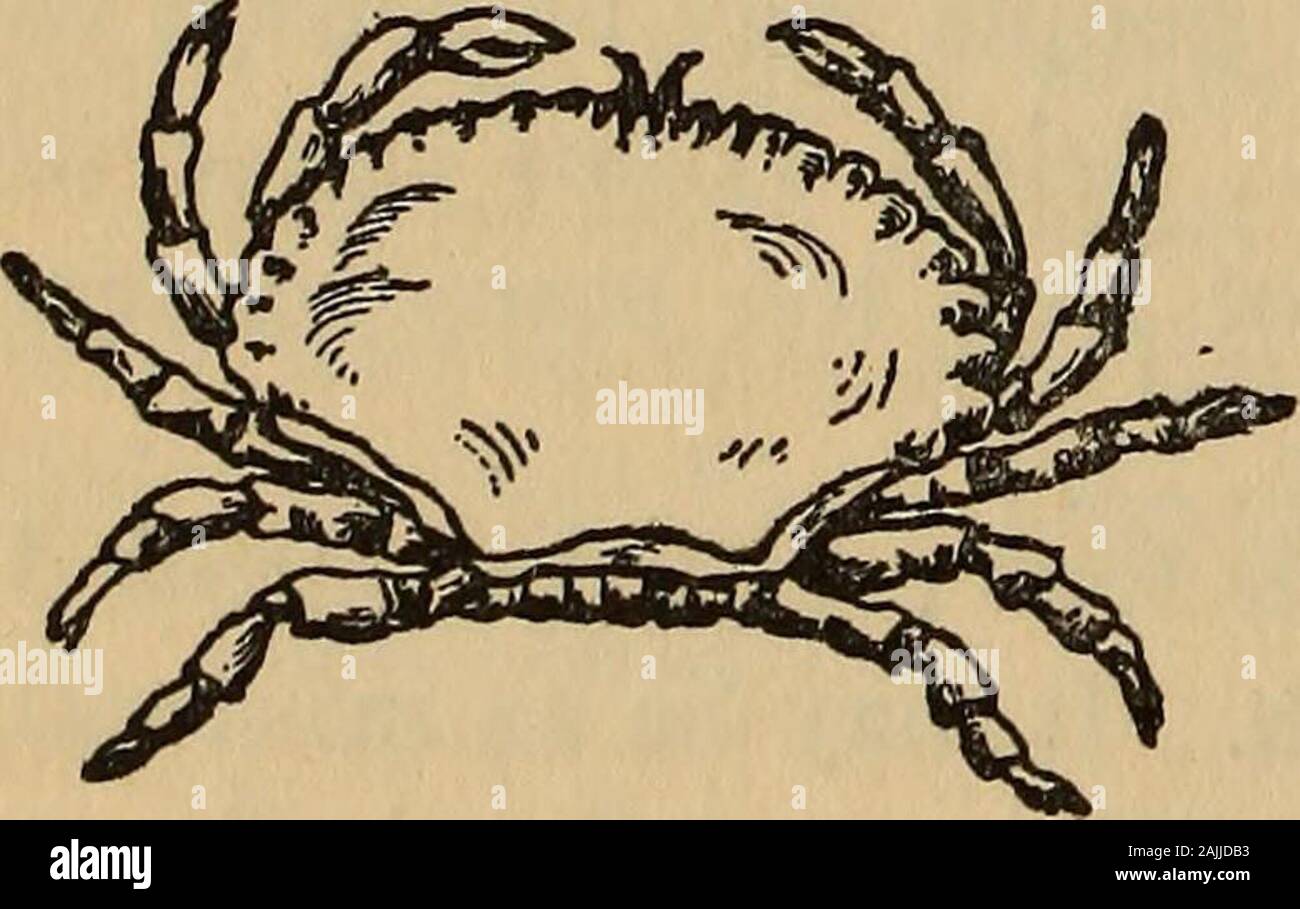 I Suppose Hi Res Stock Photography And Images Page 6 Alamy