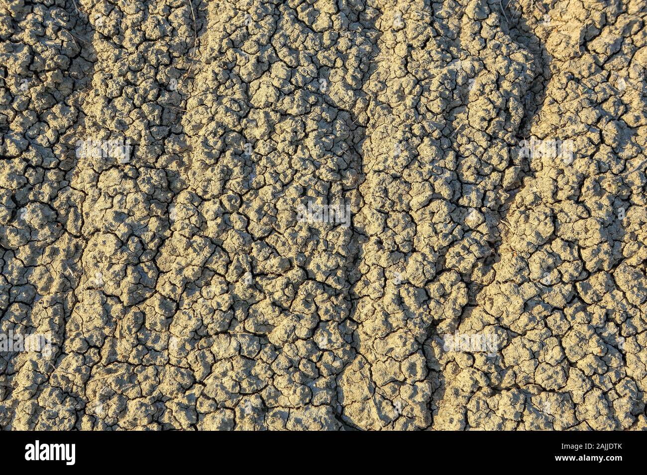 cracked clay texture, background. Stock Photo