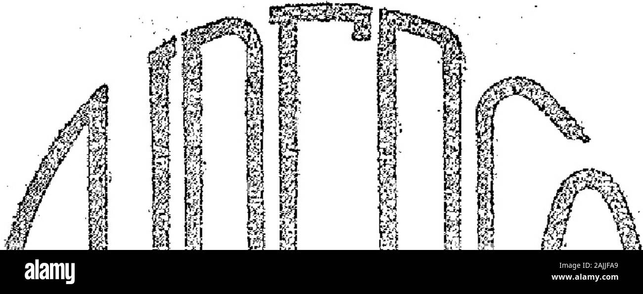 Ti Fei High Resolution Stock Photography And Images Alamy