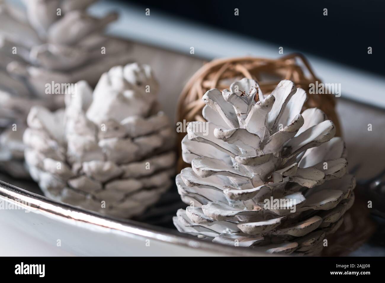 white pine cone Stock Photo