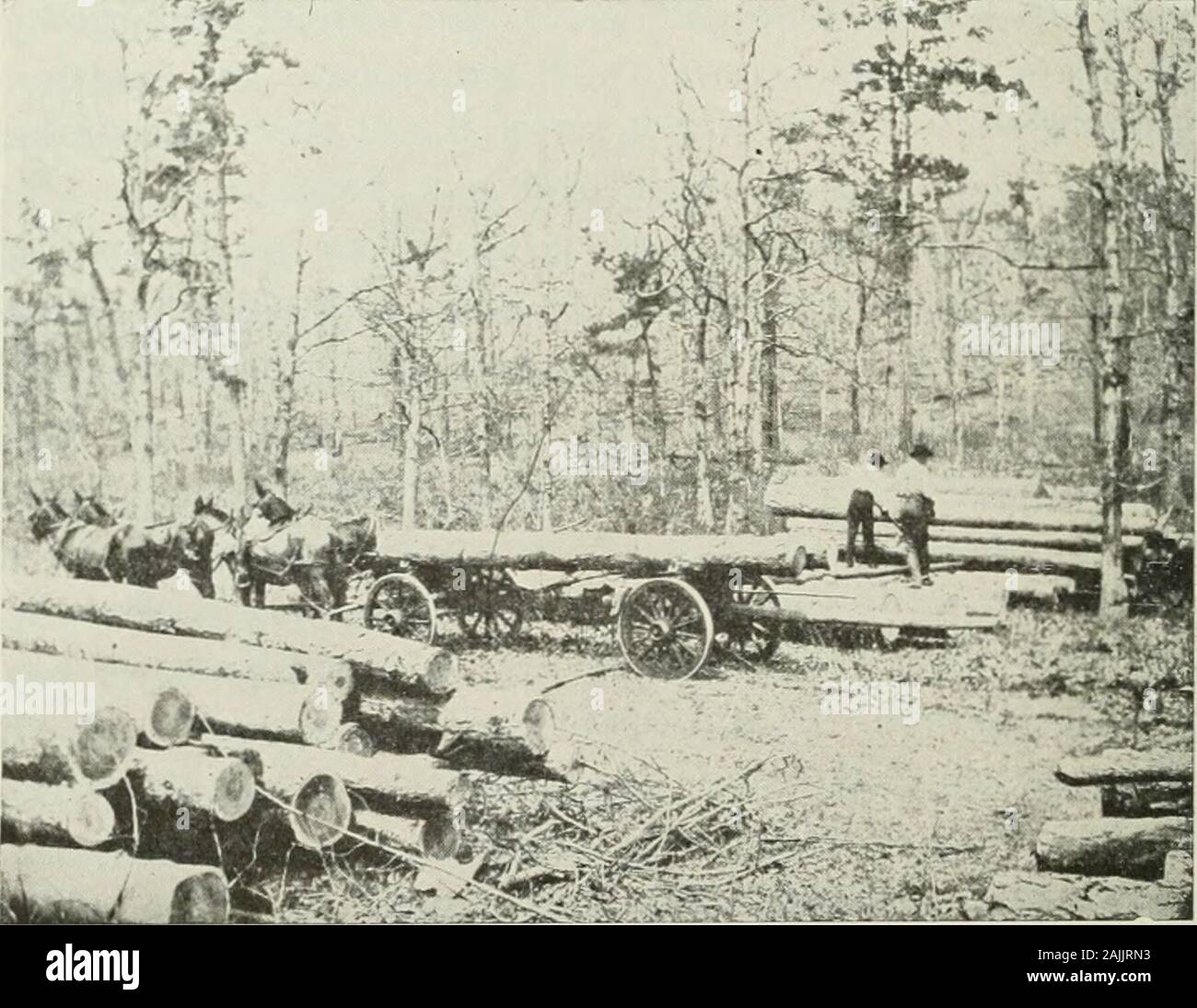 Logging; the principles and general methods of operation in the United States . k of the forward pair of wheels. The logs are swungunder the rear pair of wheels and only the forward ends of thelogs are raised from the ground. The forward pair of trucksmay be detached and used for skidding purposes, in which case 186 LOGGING the log is suspended under the axle by means of grabs, or tongs.Mule carts do not possess any special advantages over a wagon,but are preferred because laborers are famihar with their use. The usual maximum length of haul is 500 yards, but it issometimes extended to a mile Stock Photo
