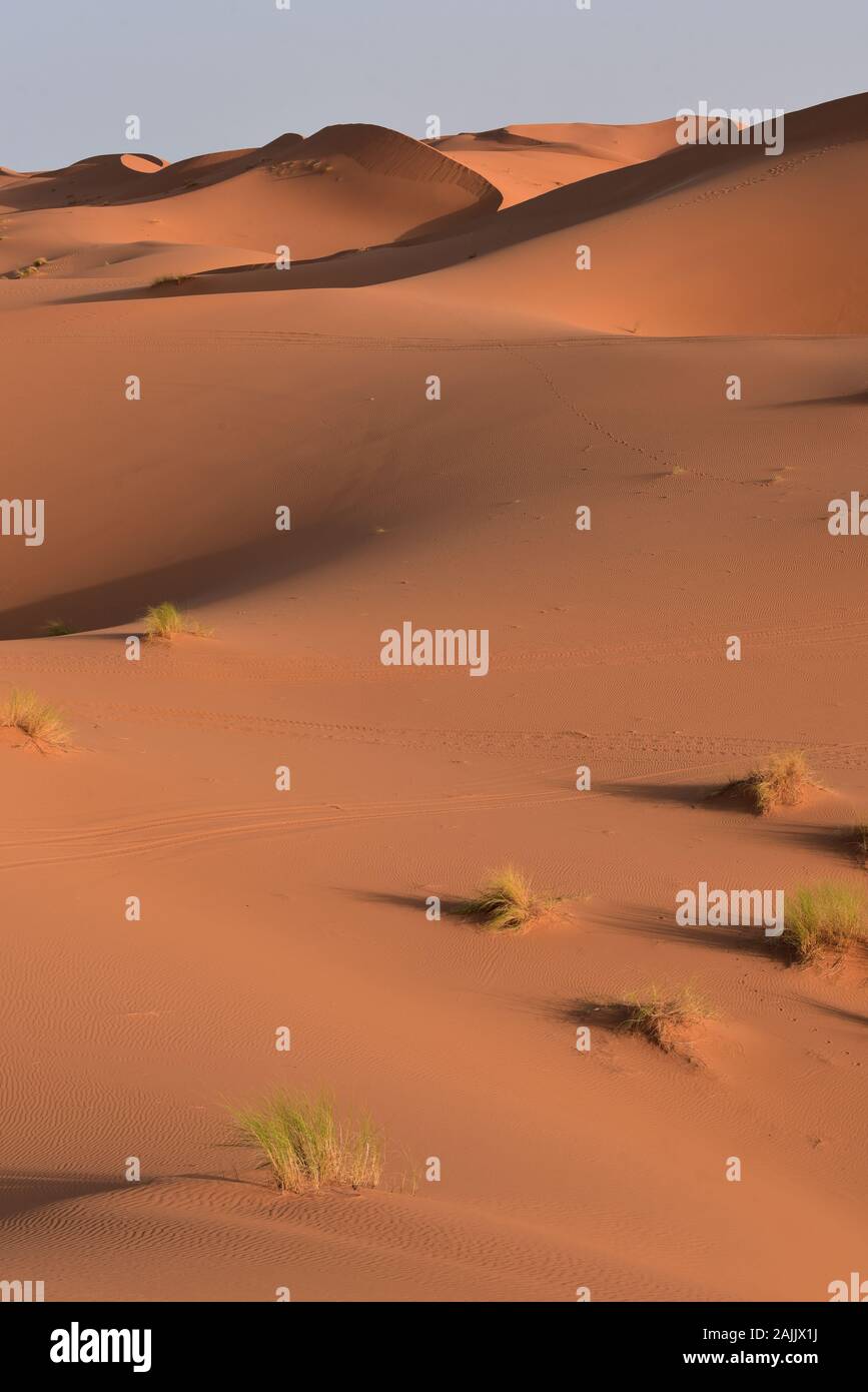 The half-light of dawn illuminates the ever-moving sands of Erg Chebbi Dunes producing a fascinating range of colours, Merzouga, Morocco, Africa. Stock Photo