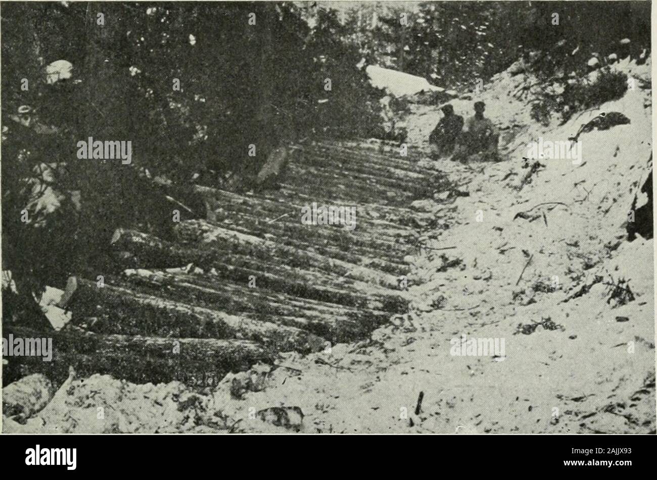 Logging; the principles and general methods of operation in the United States . is cut into saw logs whichmay be left at one side of the road, or skidded to the nearestskidway site. Depressions are filled with rotten logs and soundnon-merchantable species. The latter are also used for corduroy,bridge construction and skids. Large stumps are grubbed, sawedlevel with the ground or blasted out; boulders are removed; andcuts are made to reduce heay grades. Two-sled roads oftenpresent a rough appearance before snow falls, because of theuneven nature of the roadbed, but the first heavy snow fills t Stock Photo