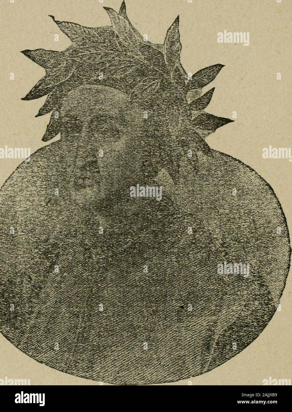 Page 3 Two Parted High Resolution Stock Photography And Images Alamy