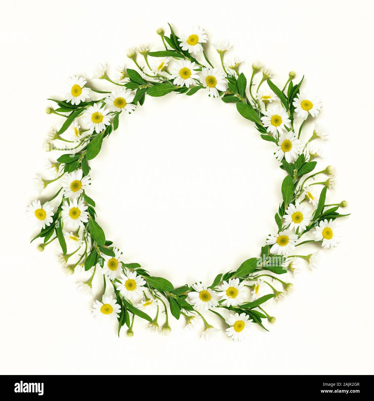 Details 300 round flower background Abzlocal.mx