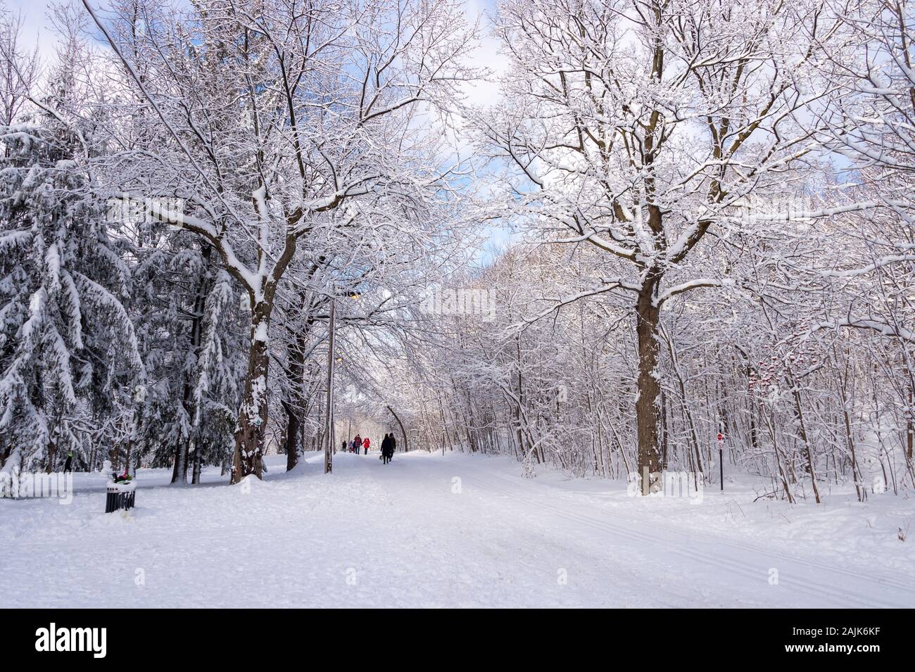 Montreal, CA - 01 January 2020: People walking on a snowy trail in Montreal's Mount Royal Park (Parc Du Mont-Royal) after snow storm. Stock Photo