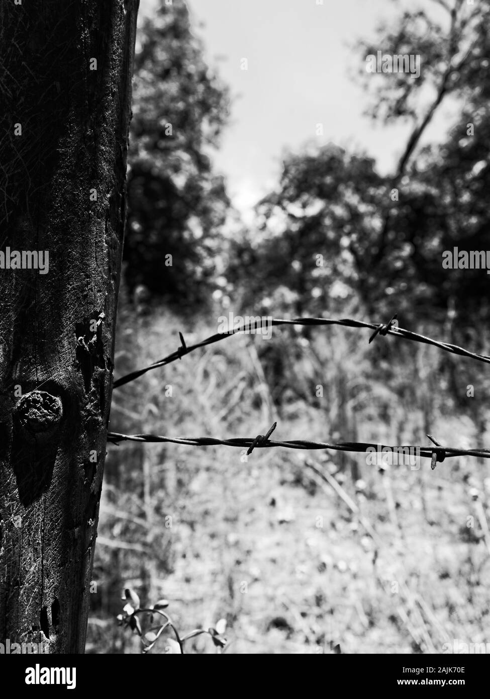 Old fence post barbed wire Black and White Stock Photos & Images - Alamy