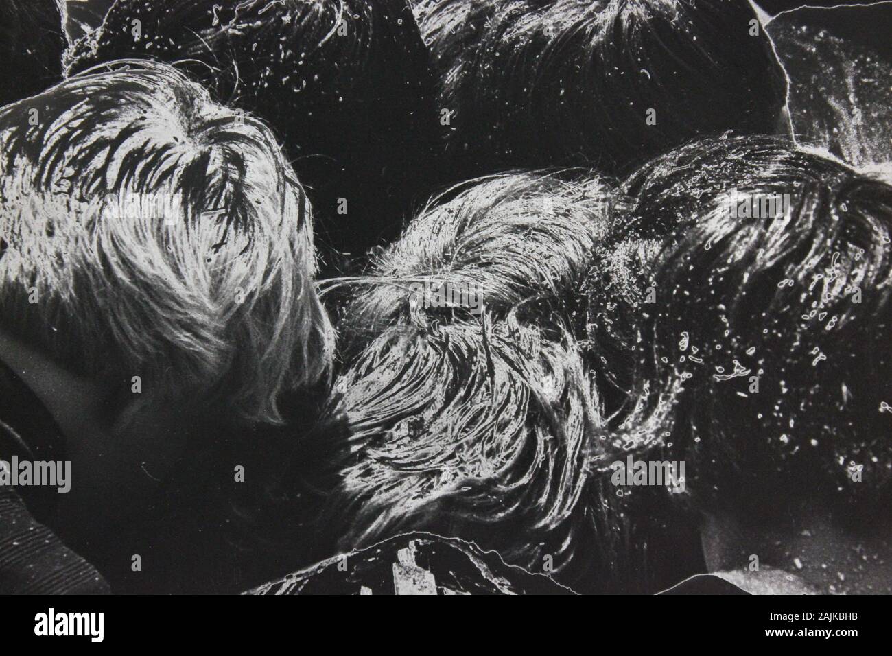 Fine 1970s vintage black and white photography of a dream like state ...