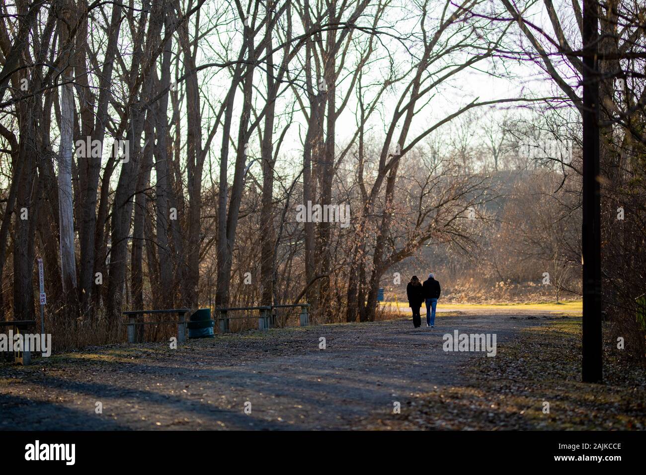 Unidentified Couple Walking Path in Forest Away From the Viewer Stock Photo