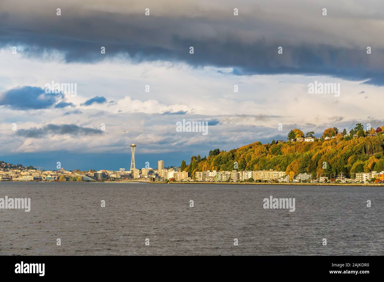 A view of condos at Alki Beach and the Seattle skyline Stock Photo Alamy