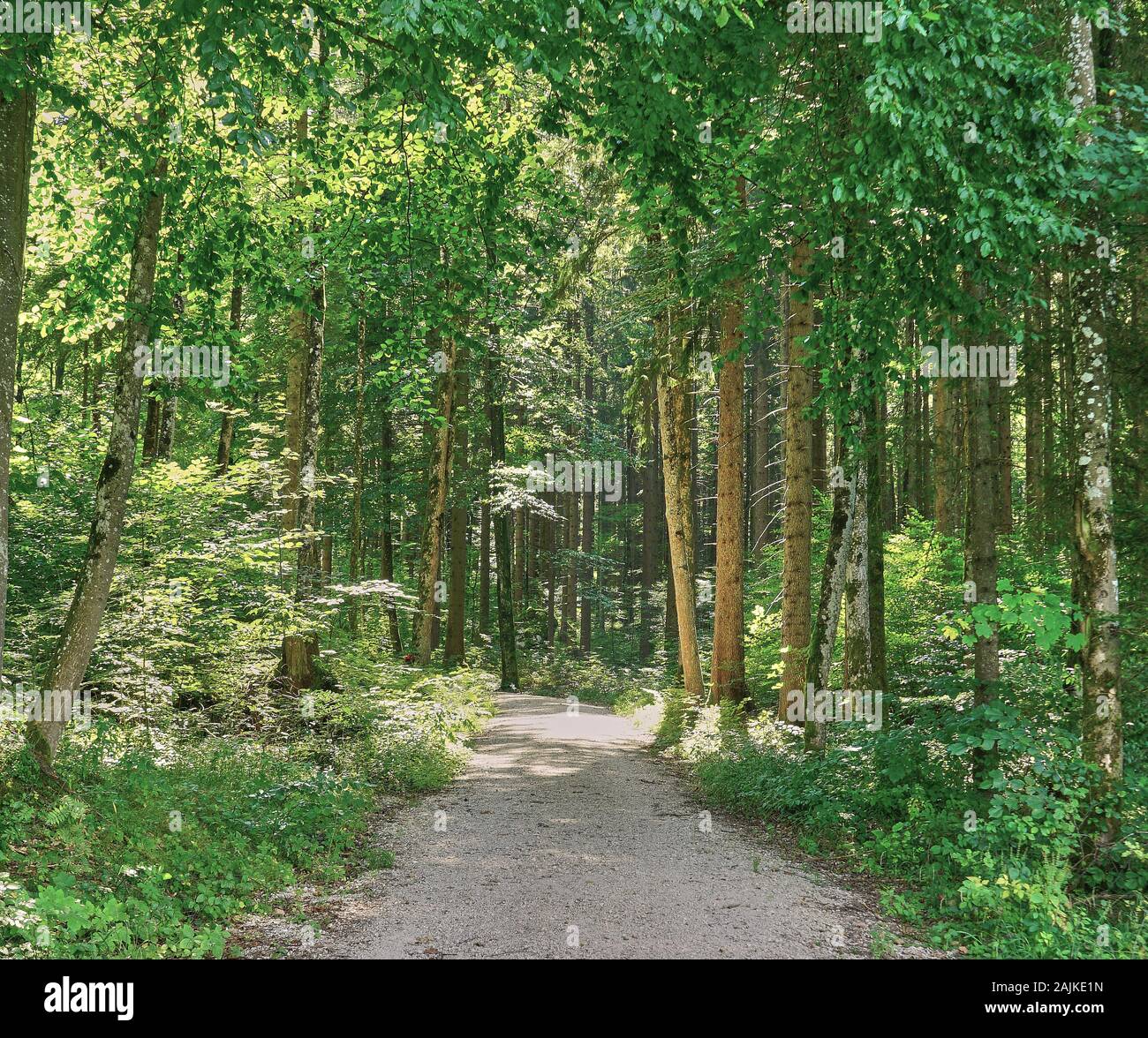 Generic background hi-res stock photography and images - Alamy