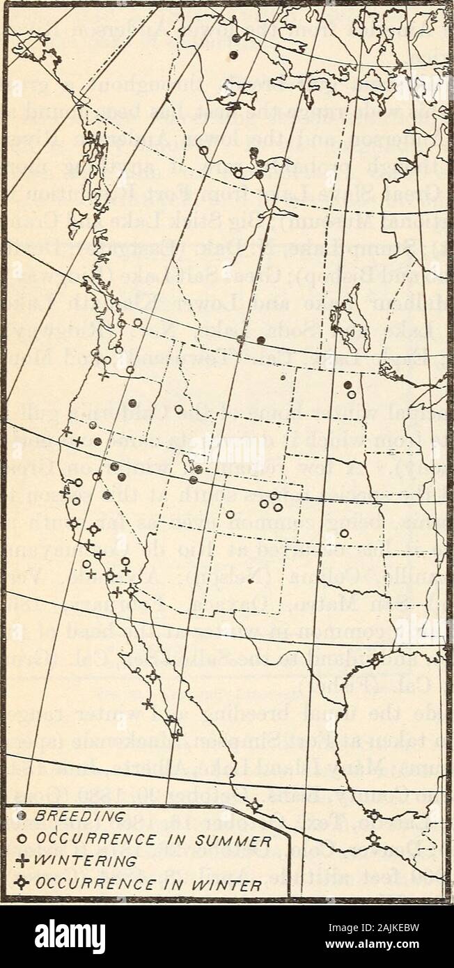 Distribution and migration of North American gulls and their allies . r-rington Island in GreatSalt Lake, June 17,1869(Ridgway); Fort Reso-lution, Mackenzie, June26, 1860 (specimens inU. S. National Mu-seum) ; young justhatched, at Big StickLake, Saskatchewan,June 14, 1906 (Bent);and young, a few daysold, on Loon Island,Great Slave Lake, July13, 1901 (Preble). Fall migration. — Asingle California gull,unusually early, ap-peared at Monterey,CaL, August 1, 1894; nomore were seen untilAugust 21, and by thefirst of September thespecies was fairly com-mon. In 1896 the firstwas not seen until Sep-te Stock Photo