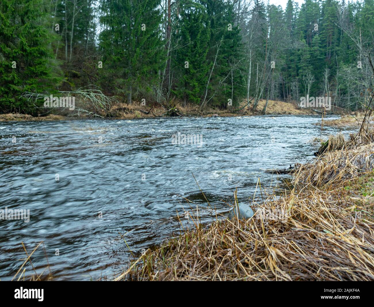 landscape with small river and green trees ashore, a cloudy and rainy ...